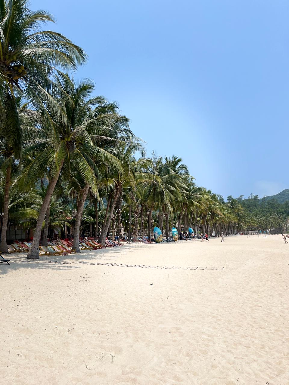 Snorkeling and Beach